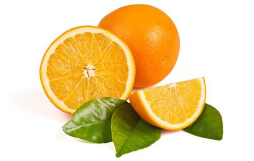 One Powell Navel Orange Tree (1-2 Feet), grafted, No Ship Az, Ca, Fl, La, Tx, Hi