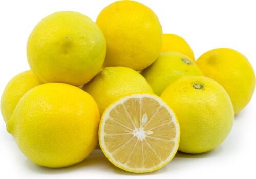 One Sweet Lime tree,1-2 feet tall, grafted, No Ship Az, Ca, Fl, La, Tx
