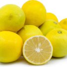 One Sweet Lime tree,1-2 feet tall, grafted, No Ship Az, Ca, Fl, La, Tx