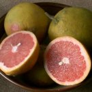Flame Grapefruit tree, 2
