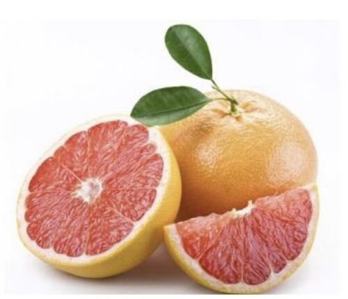 California only!! Star Ruby Grapefruit tree, 1-2 ft. tall, grafted