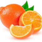 Minneola Tangelo Tree, 1-2 feet tall, grafted, No Ship Al, Az, Ca, Fl, Ga, La