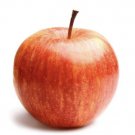 Honeycrisp Apple Tree 5-6', Bare root, No Ship to CA, January-April