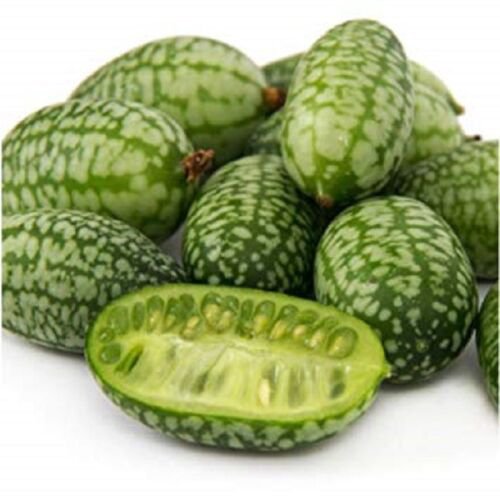 25+ Melothria Scabra / Mouse Melon / Cucamelaon / Seeds / DELICIOUS