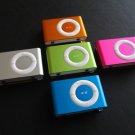 1 GB MP3  player-no LCD-suffle style