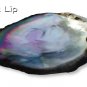 High Grade Mother of Pearl (Black Lip) Shirt Buttons (15 Pieces) ø11.0mm 2 Sewing Holes