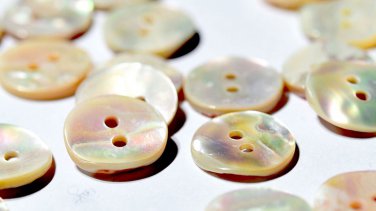 High Grade Ivory Abalone Mother of Pearl Shirt Buttons (8 Pieces) &Atilde;&cedil;23mm 2 Sewing Holes