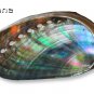 High Grade Ivory Abalone Mother of Pearl Shirt Buttons (8 Pieces) &Atilde;&cedil;23mm 2 Sewing Holes