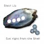 Set of 3 Large & 7 Small High Grade (Black Lip) Mother of Pearl Jacket Buttons 4 Sewing Holes