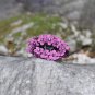 Purple Handmade Flower Hair Clip Crystal Hair Claw Floral Blossom Flower Fabric Barrette Jaw Clip
