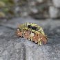 Yellow Autumn Nature Handmade Flower Hair Clip Crystal Hair Claw Floral Blossom FlowerJaw Clip