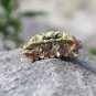 Yellow Autumn Nature Handmade Flower Hair Clip Crystal Hair Claw Floral Blossom FlowerJaw Clip