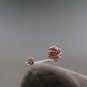 Rose Gold Flower 925 Sterling Silver Dainty Ring Gold Vermeil Adjustable Elegant Nature Ring