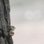 Golden Knot Earrings Studs Geometric Fashion Earrings Bird's nest Pierced Earrings Post Matt Finsh