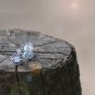 Clear Crystal Earrings Studs Round Dainty CZ Earrings Elegant Cute Earrings