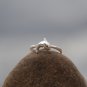 Sterling Silver Dolphin Ring Beluga Fish Ring Minimal Animal Ocean Lover Minimalist Ring for Kids