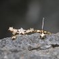 Gold Celestial Ear Jacket Star Ear Crawlers Zodiac Ear Climbers Sterling Silver Dainty Earrings