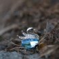 Sky Blue Swan Swarovski Crystal Element Cute Animal Necklace Aquamarine Dainty Pendant Chain