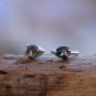 Swarovski Crystal Element Teardrop Ring Sterling Silver Waterdrop Adjustable Ring Greytone Ring