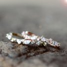 Rose Gold Vermeil Twist Open Ring Adjustable Dainty Crystal Ring Thin Ring for Her