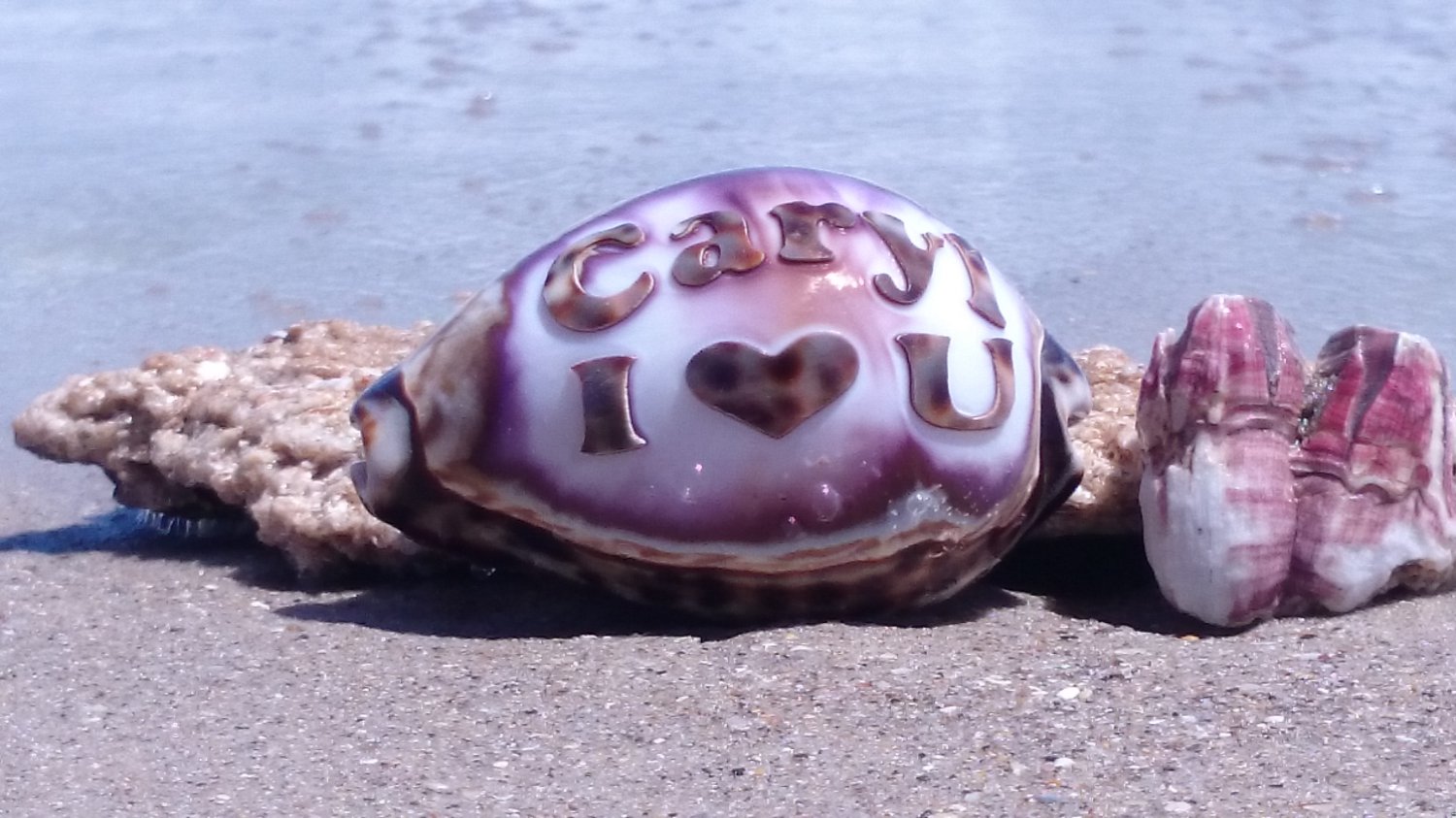 Personalized - 'I Love You' Engraved on Tiger Cowrie Seashell