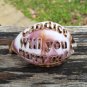 'Will you marry me?' Engraved On A Tiger Cowrie Seashell. Personalize by adding a name