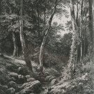Shishkin Ivan Ivanovich. A Stream in the Forest. Etching. Russia 1870
