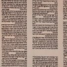 Kosher Authentic Sefer Torah Scroll Judaica Hebrew Beit Yosef