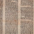Authentic Yermiyahu Scroll Judaica Hebrew Beit Yosef