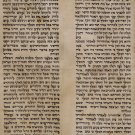 Authentic Megilat Esther Scroll Jewish Hebrew Judaica Chabad