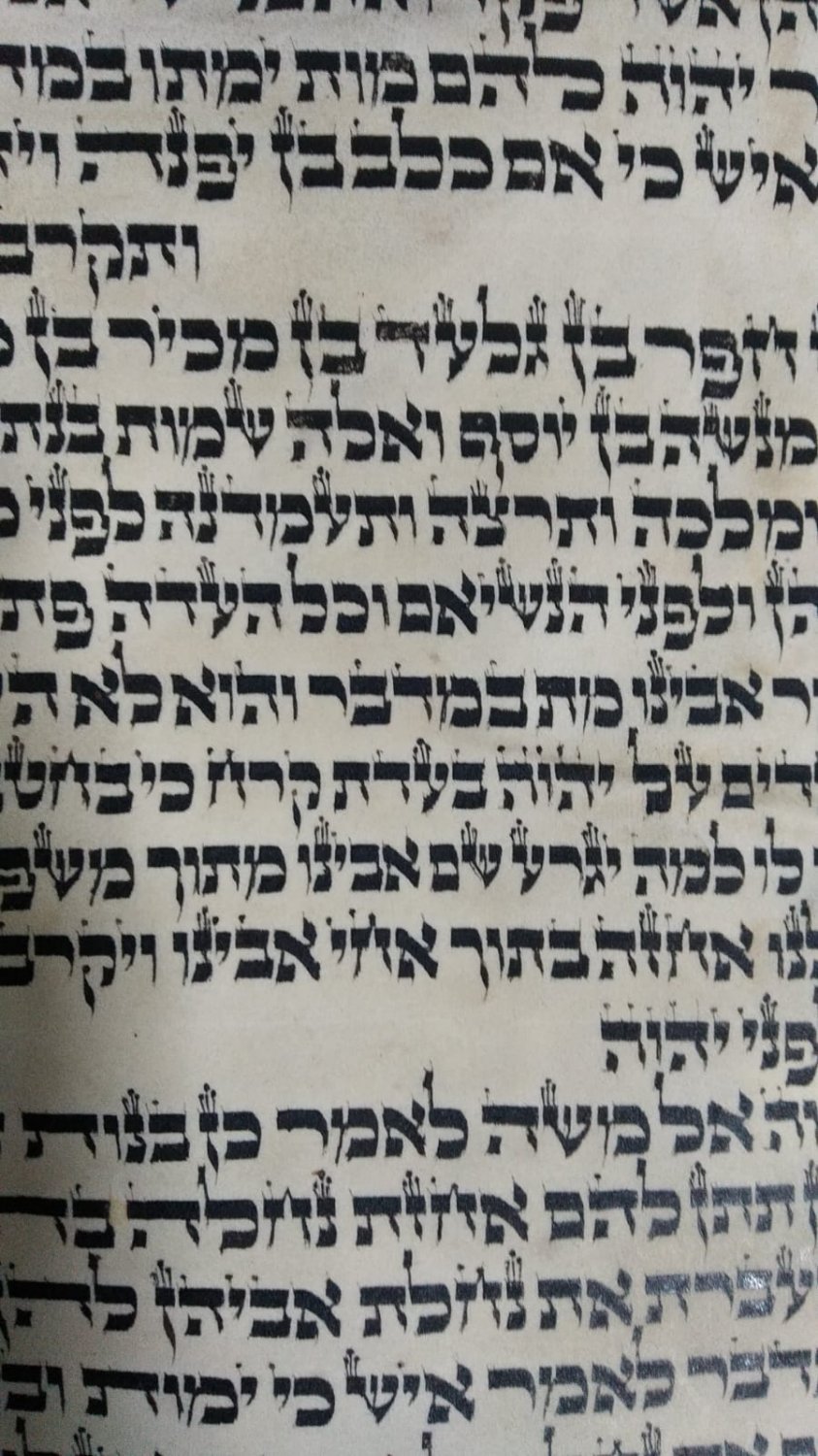 Authentic Ashkenazi Torah Scroll Jewish Hebrew Judaica Ari Zal