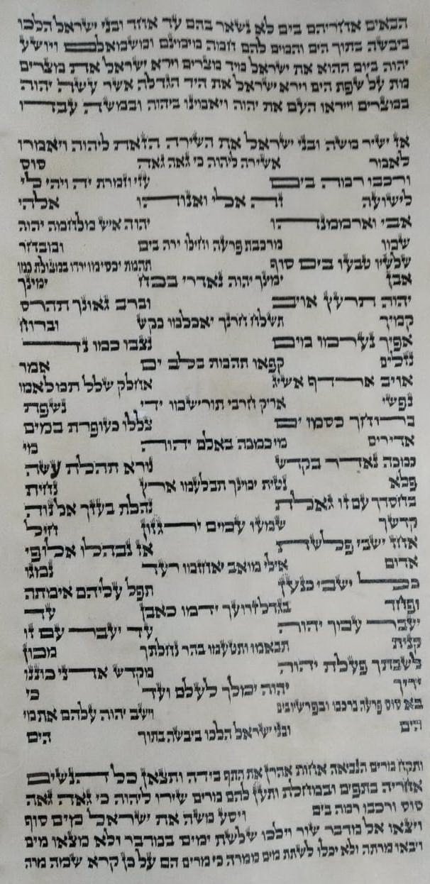 Authentic Ashkenazi Torah Scroll Jewish Hebrew Beit Yosef Judaica