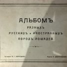 Album different Russian and foreign rocks horses. Rare Russian book