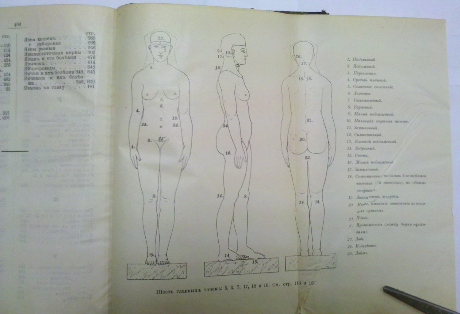 Electro-homeopathy of Mattei/ Elektro-gomeopatiya grafa Mattei.StPetersburg,1898
