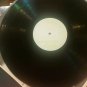 33 RPM Vinyl Steve Roseberry The Holy City Pinebrook Records PB1183 012615SM