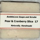 Pear and Cranberry Slice 17