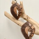 Handcrafted Coconut Earrings