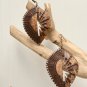 Handcrafted Coconut Earrings