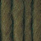 Bernat Roving Yarn-Lichen