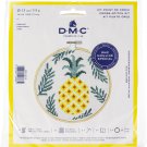 DMC Stitch Kit 6" Diameter-Pineapple (14 Count)