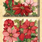 American Craft Susan Winget Glad Tidings Poinsettia and Holly Layered Accents