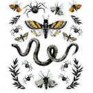 Darice Martha Stewart Crafts Halloween Embellishment Stickers Insects