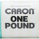 Caron Century Collection 16oz-Robin's Egg