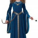California Costumes Queen, Knight Medieval Princess Girls Costume, Teal, Large