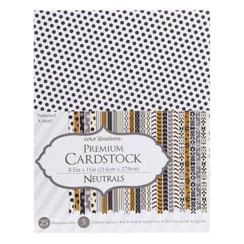 Darice Core'dinations Scrapbooking Patterned Cardstock Paper 8.5X11'' Neutrals