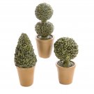 Darice Fairy Garden Plants: Potted Shrubs And Topiaries Assorted