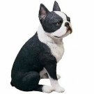 Sandicast Mid Size Boston Terrier Sculpture, Sitting