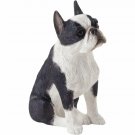 Sandicast Small Size Boston Terrier Sculpture, Sitting