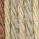 Lily Sugar'n Cream Yarn Ombres Super Size-Earth Ombre