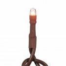 Darice DecoLights Teeny Bulbs Multi Function Clear with Brown Cord 26 Feet